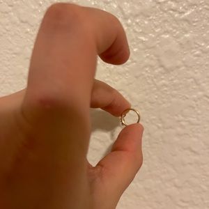 Dinosaur cartilage earring